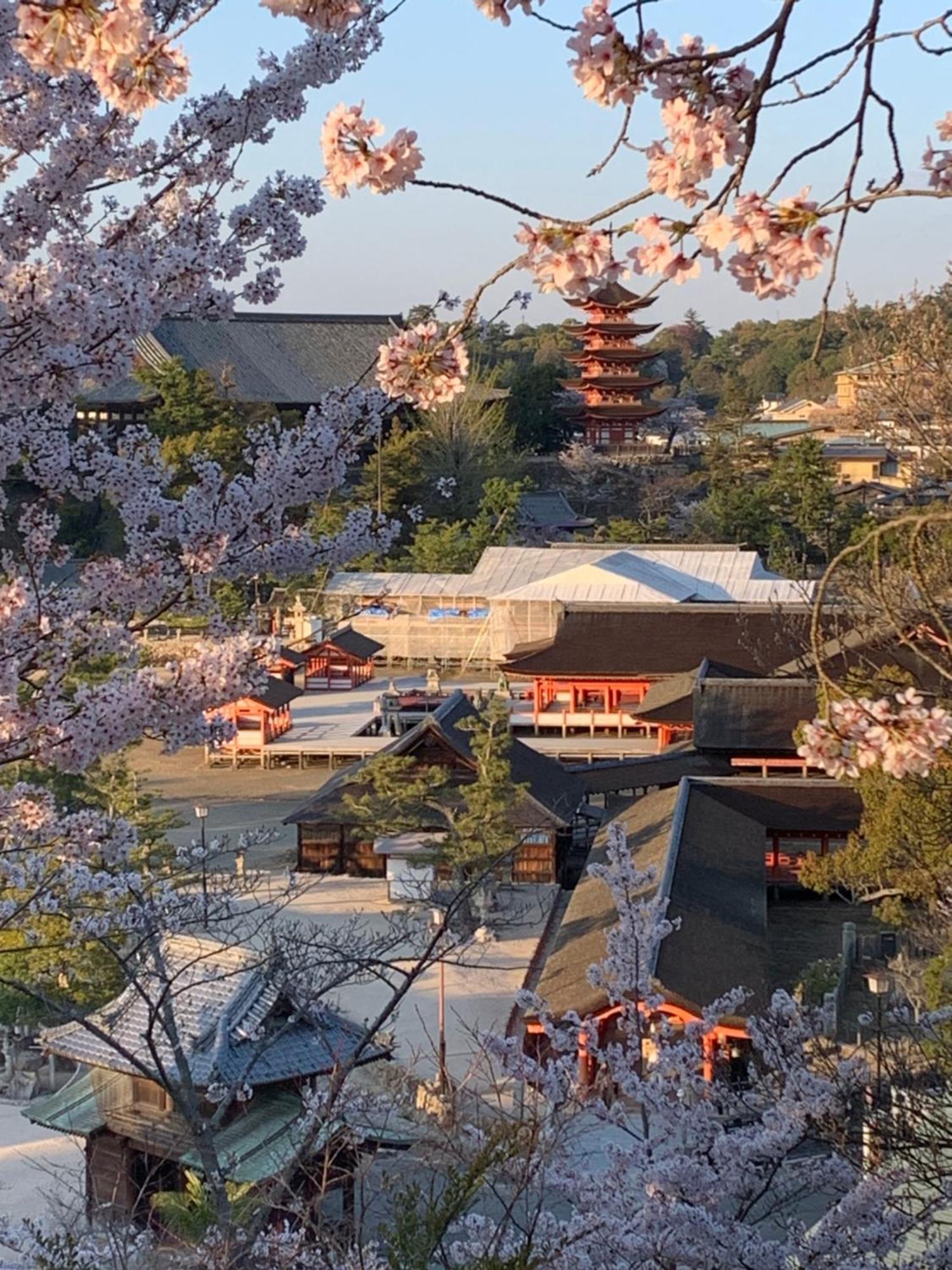 宮島 町家宿 進龍庵 Hatsukaichi Exteriör bild